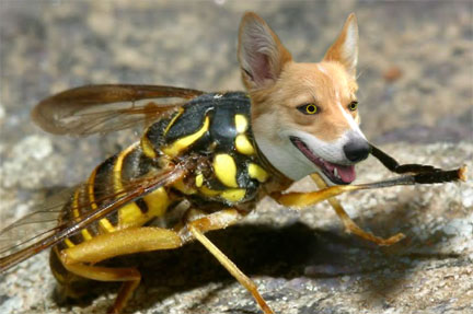 Diseño de Photoshop por ArtDino para DesignCrowd (Community Contests) | Diseño #9052209