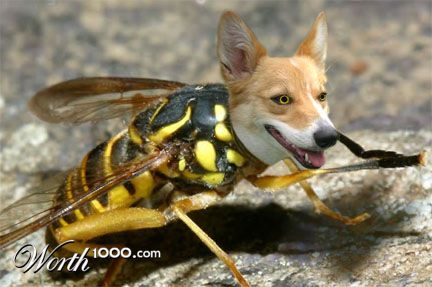 Photoshop Design by ArtDino