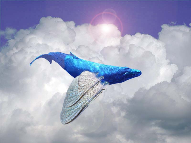 Diseño de Photoshop por DiceyL para DesignCrowd (Community Contests) | Diseño #9052272