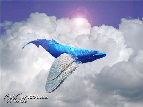 Photoshop Design by DiceyL
