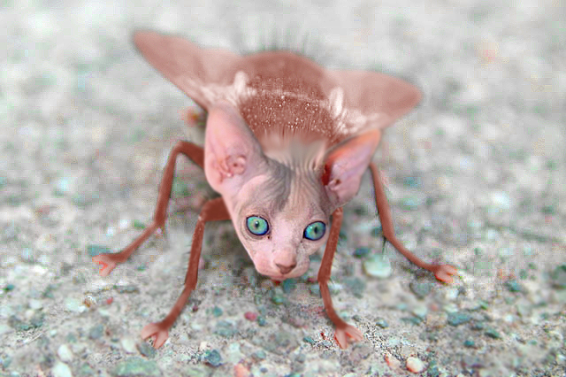 Photoshop Design by StrangeWorld for DesignCrowd (Community Contests) | Design #9052192