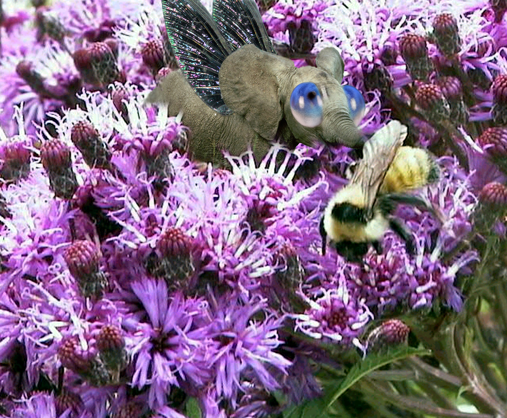 Photoshop Design by Pixelicious for DesignCrowd (Community Contests) | Design #9052205