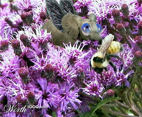 Photoshop Design by Pixelicious