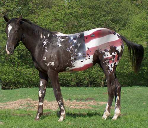 Diseño de Photoshop por msfrigyfrog para DesignCrowd (Community Contests) | Diseño #9057268