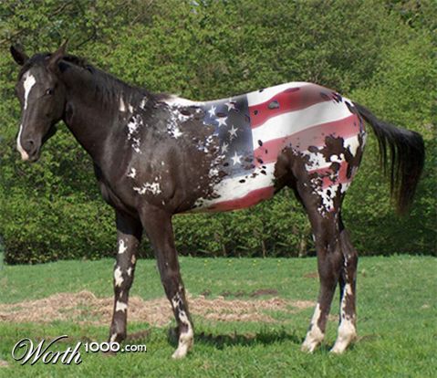 Photoshop Design by msfrigyfrog