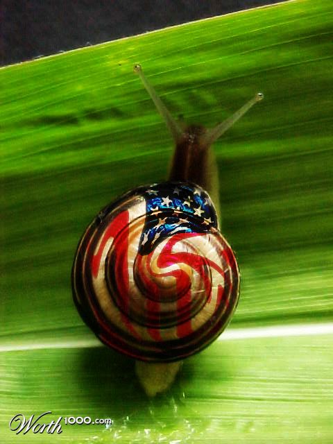 Photoshop Design by justinjam