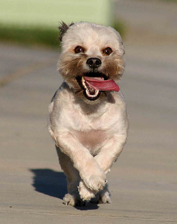 Photography by avbowler for DesignCrowd (Community Contests) | Design #9063348