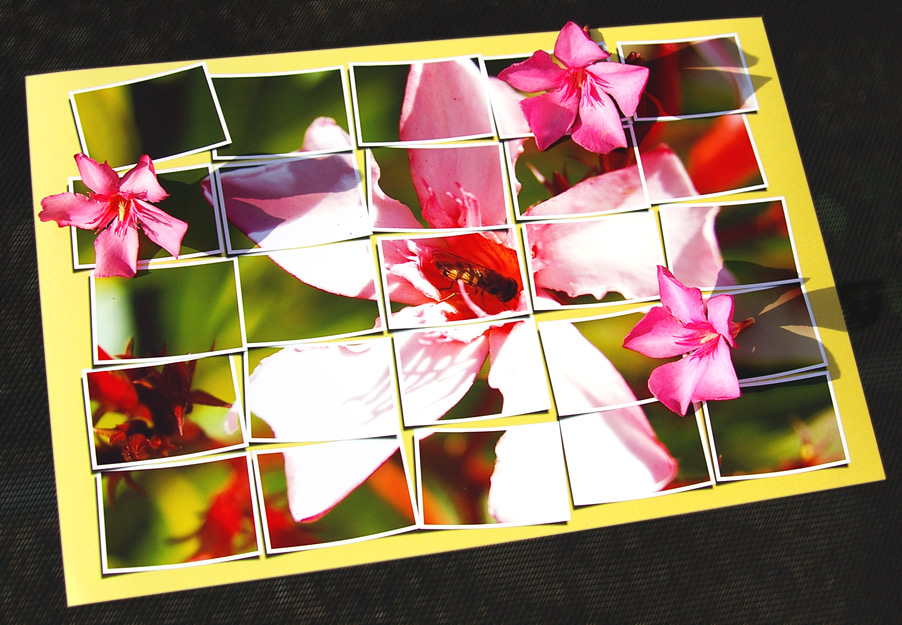 Fotografía por smarti77 para DesignCrowd (Community Contests) | Diseño #9072686