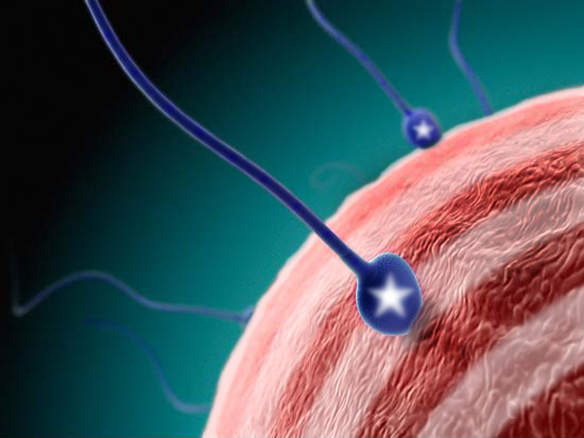 Photoshop Design by diva38 for DesignCrowd (Community Contests) | Design #9057558