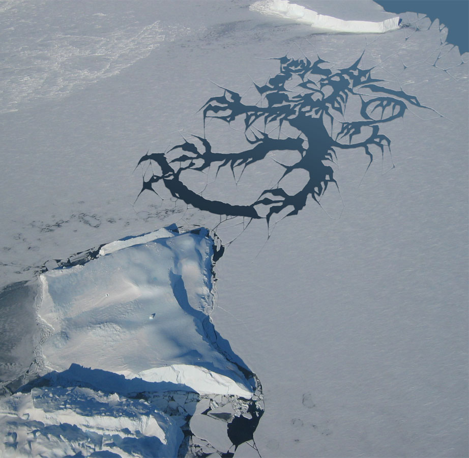 Photoshop Design by MrArif for DesignCrowd (Community Contests) | Design #9057373