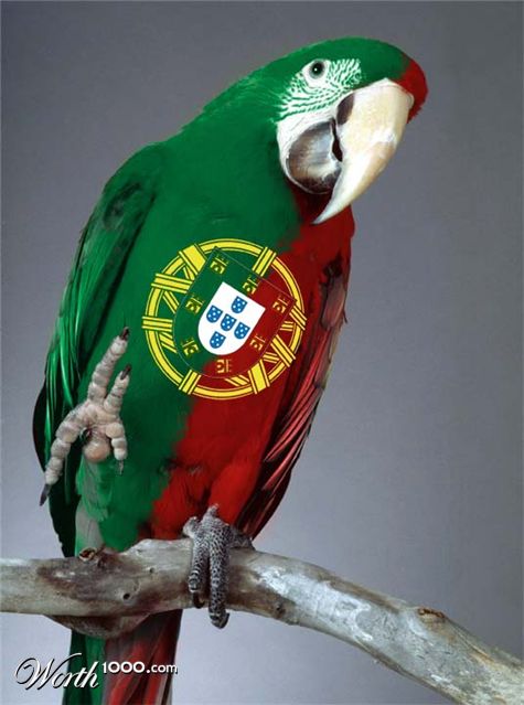 Photoshop Design by brunotelmo