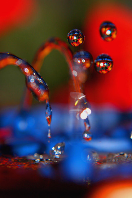 Fotografía por LADPUPMOE para DesignCrowd (Community Contests) | Diseño #9063399