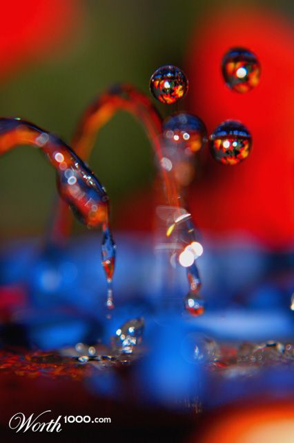 Photography by LADPUPMOE