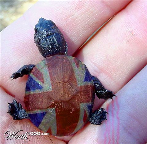 Photoshop Design by Youlookin