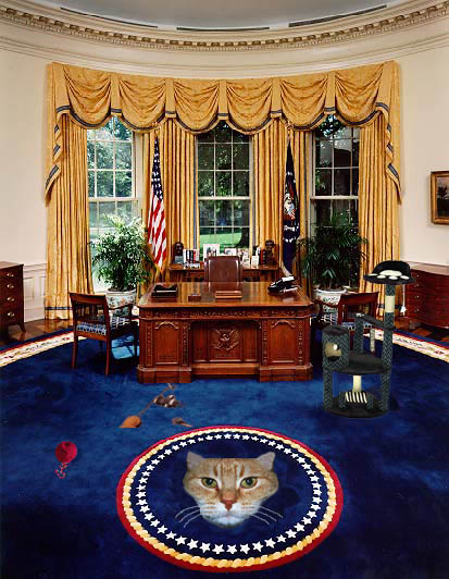 Photoshop Design by IncredibleLoon for DesignCrowd (Community Contests) | Design #9061845