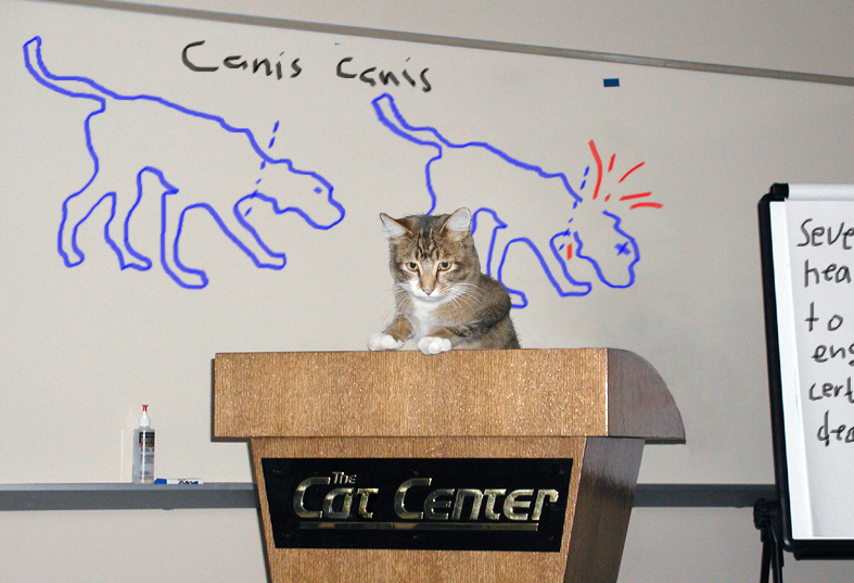 Photoshop Design by pr33de for DesignCrowd (Community Contests) | Design #9061842