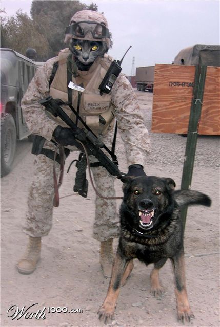 Photoshop Design by jrharvey222