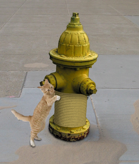 Photoshop Design by theliberator for DesignCrowd (Community Contests) | Design #9061873