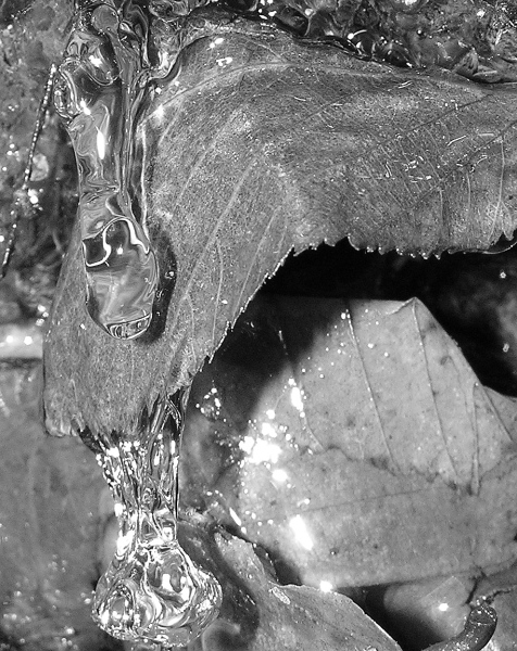 Photography by pratsa for DesignCrowd (Community Contests) | Design #9063389