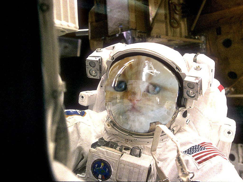 Photoshop Design by loekigizmo for DesignCrowd (Community Contests) | Design #9061860