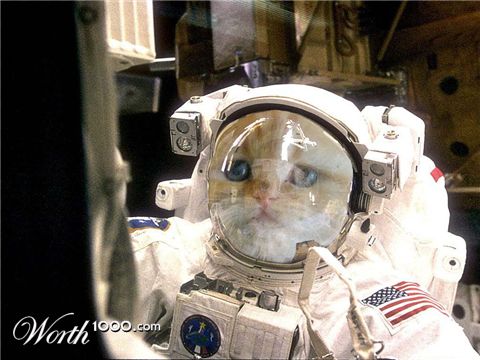 Photoshop Design by loekigizmo