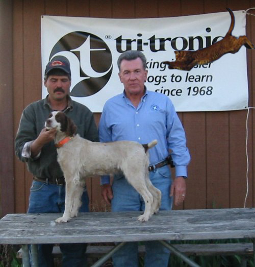 Photoshop Design by Rafreaky for DesignCrowd (Community Contests) | Design #9061894