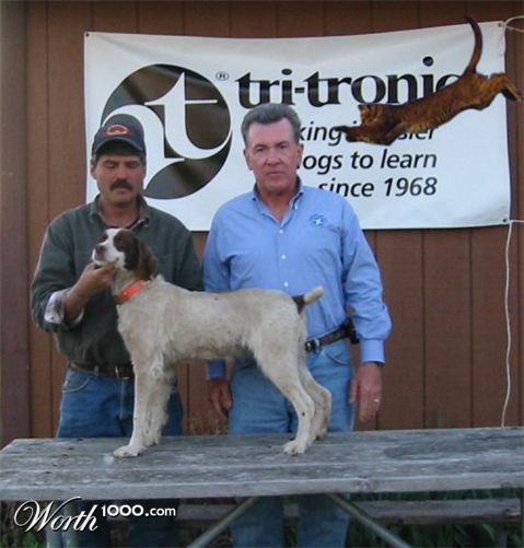 Photoshop Design by Rafreaky