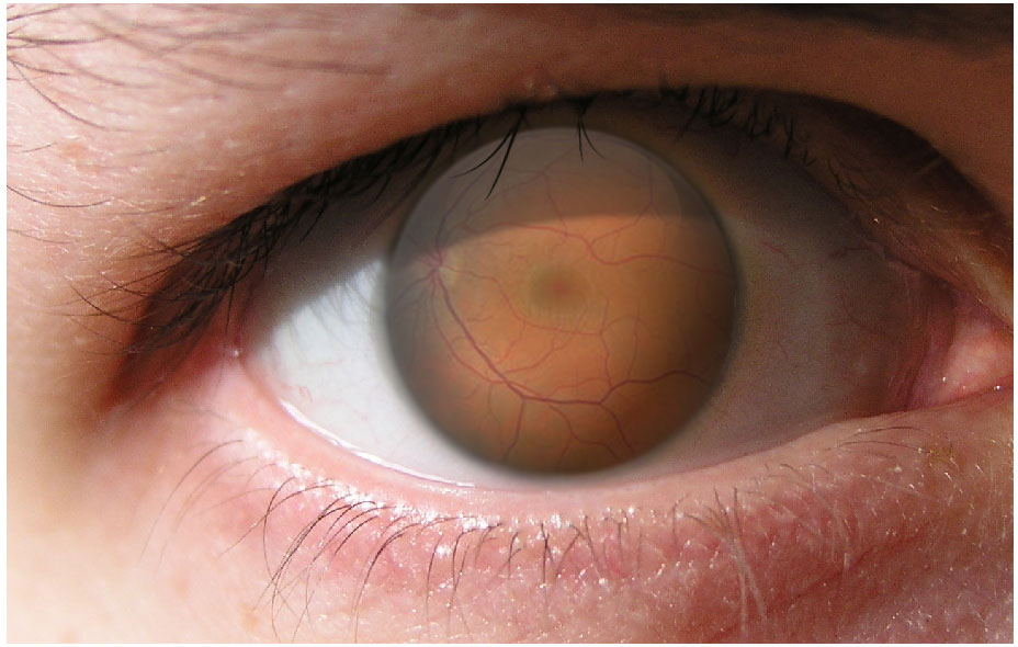 Photoshop-Design von MadamXelda für DesignCrowd (Community Contests) | Design #9061293