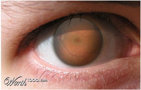 Photoshop Design by MadamXelda