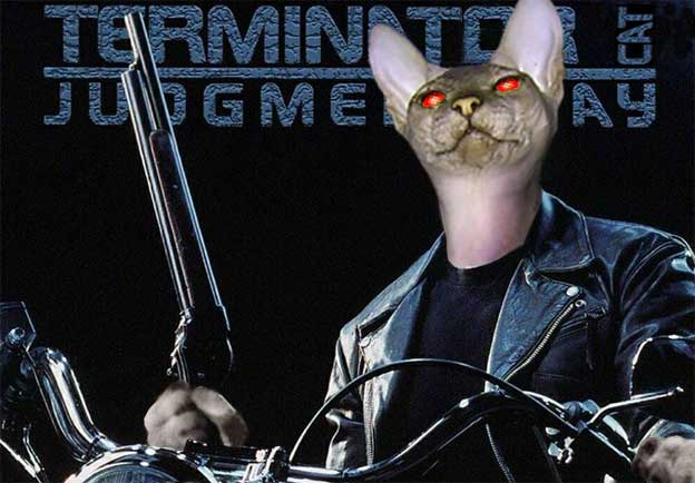 Design Photoshop par WizFromOz pour DesignCrowd (Community Contests) | Design #9061887