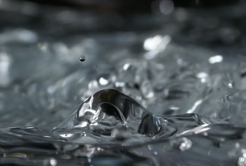 Photography by blousky for DesignCrowd (Community Contests) | Design #9063406