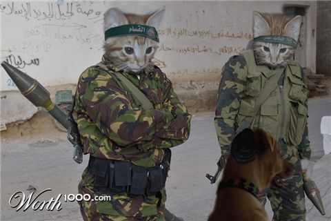 Photoshop Design by ayoksus