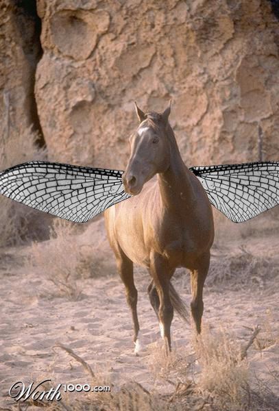 Photoshop Design by kevinram