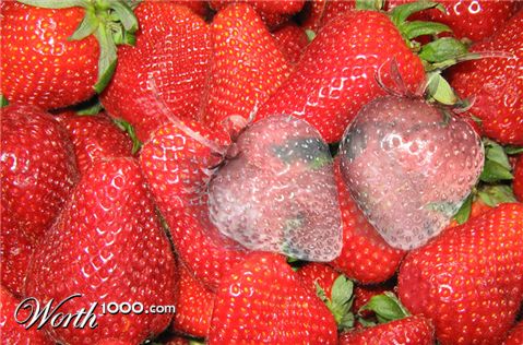 Photoshop Design by wildmieze