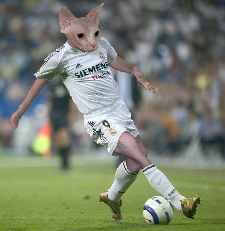 Photoshop-Design von znxjanx für DesignCrowd (Community Contests) | Design #9061876