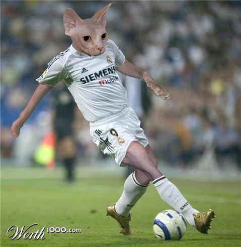 Photoshop Design by znxjanx