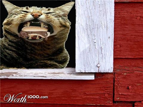 Photoshop Design by sunkan