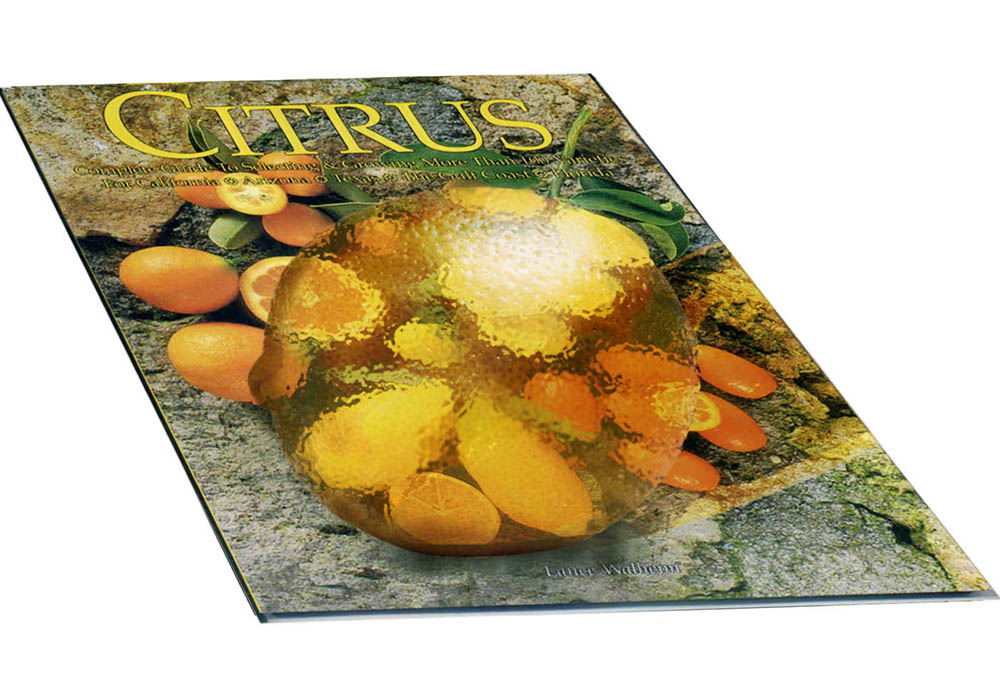 Design Photoshop par nemish pour DesignCrowd (Community Contests) | Design #9061360