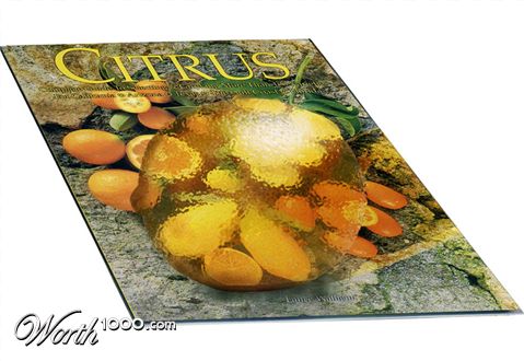 Photoshop Design by nemish