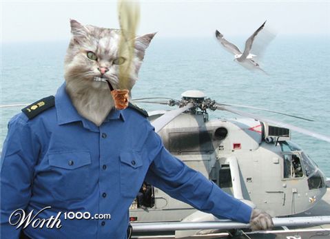 Photoshop Design by modigliani