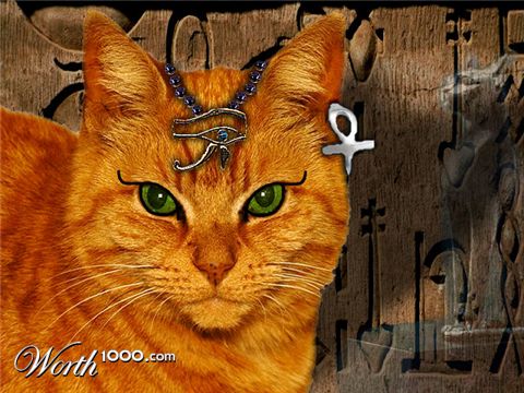 Photoshop Design by Silverhair1960