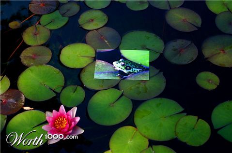 Photography by Stevo26
