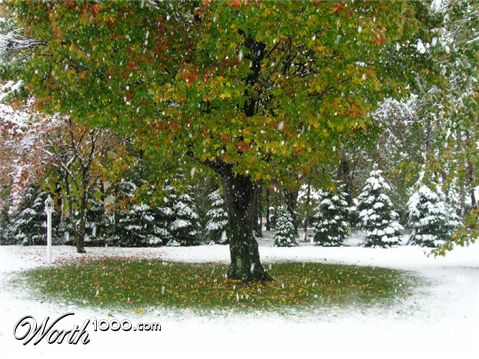 Photography by dan711