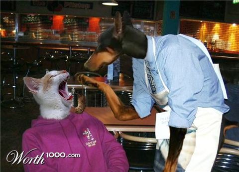 Photoshop Design by johndiablo