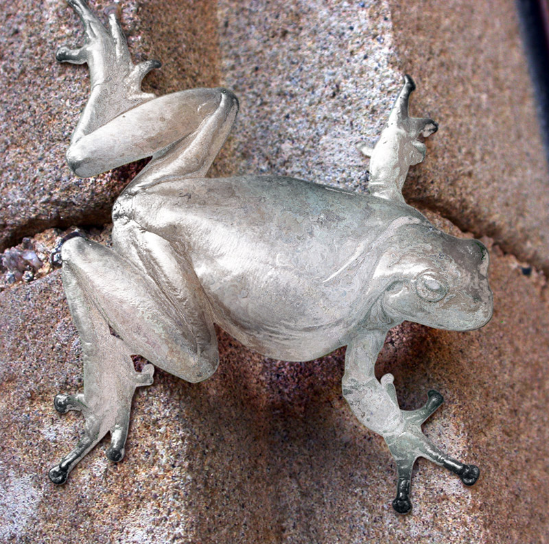 Diseño de Photoshop por renatodornas para DesignCrowd (Community Contests) | Diseño #9061434