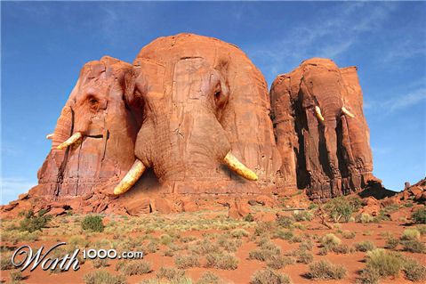 Photoshop Design by ozplasmic