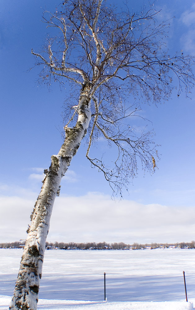 Photography by RandomInsanity for DesignCrowd (Community Contests) | Design #9062420