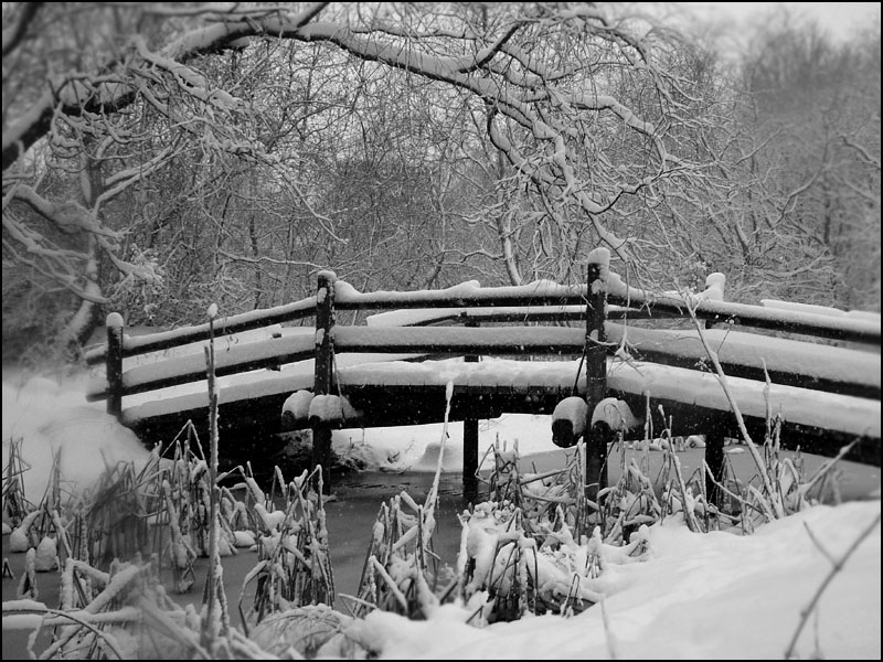 Fotografía por zensoul para DesignCrowd (Community Contests) | Diseño #9062411