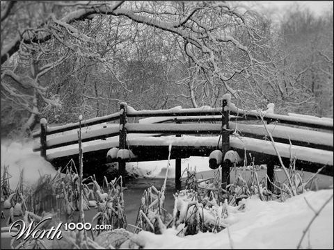 Photography by zensoul