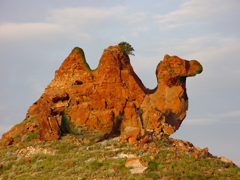 Photoshop-Design von Chazcarp für DesignCrowd (Community Contests) | Design #9050263